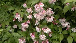 2013-06-09-1721.webp