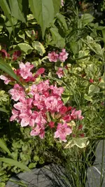 2013-06-06-1640.webp