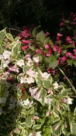 2013-06-06-1643.webp