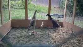 2013-06-10-1763.webp