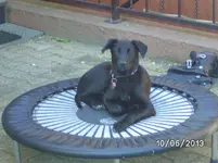 Anka.webp
