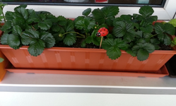20130610_201747.webp