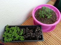 20130610_201728.webp