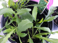 20130610_201710.webp