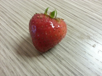 20130610_160619.webp