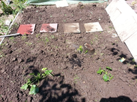 20130606_143437.webp