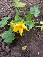20130609_103736.webp