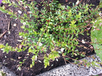 20130609_103714.webp