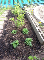 20130609_103556.webp