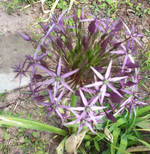 20130609_103643.webp