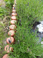 20130609_103618.webp