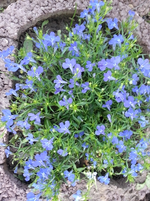 20130606_143454.webp
