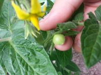 20130609_095217.webp