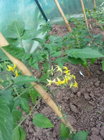 20130609_095248.webp