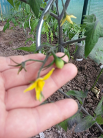 20130609_095355.webp