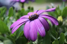 matsch 020.webp