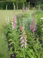 DSCN2169.webp