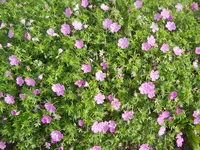 DSCN2167.webp