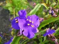 DSCN2171.webp