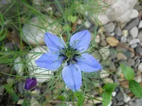 DSCN2174.webp