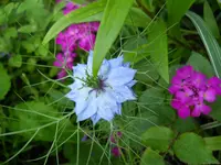 DSCN2175.webp