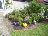 100_0998.webp