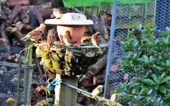 Copy of IMG_0465v.webp