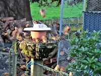 Copy of IMG_0468v.webp