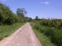 HPIM9665.webp