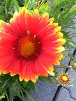 045.webp