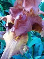 036.webp