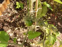 SAM_0901.webp