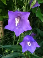 051.webp