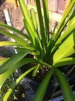 k-IMG_4128.webp
