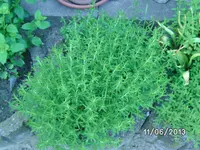 BILD3491.webp