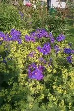 IMAG0769.webp