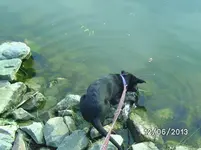 Anka Wasser.webp