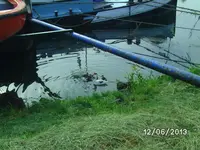 Enten.webp