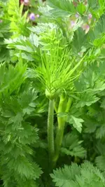 02Bild.webp
