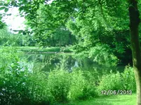 Höttingteich.webp