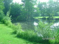 Höttingteich (2).webp