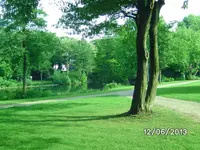 Höttingteich (3).webp