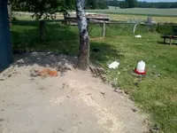 Foto0996.webp