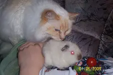 100_1335.webp