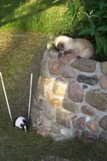 100_1250.webp