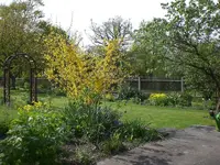 Garten April5 001.webp