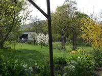 Garten April5 002.webp