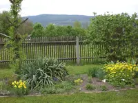 Garten April5 016.webp