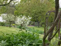 Garten April5 018.webp