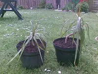 Bild008 (4).webp